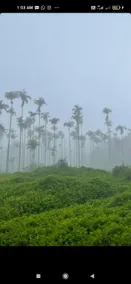 Thondar Homestays - Image 3