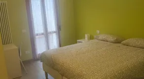 B&B Canossalpaca - Image 5