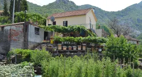 Guesthouse Feel Lake - Image 4