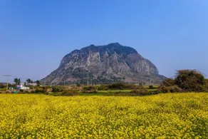 Soo Village - Image 3