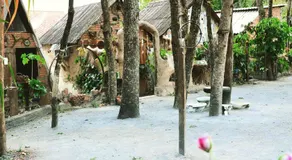 NOMADAS chalés, mini casinhas, bangalôs , área de camping e cozinha compartilhada - Image 3