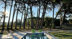 La Pavoyère - Image 4