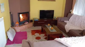 Exotic house - Image 2