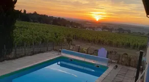 La côte des Blancs - Domaine viticole & maison d'hôtes - Image 2