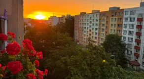 APARTNÁNY To-To - Image 4