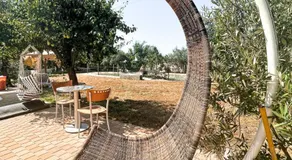 DIGNUS HOUSE - Image 3