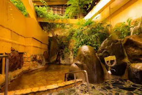 Ichinose - Image 5
