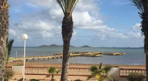 Estrella de Mar - Image 5