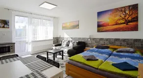 Apartman Nikola Trojanovice - Image 2