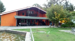 Pension Waldbad Dommitzsch - Image 5