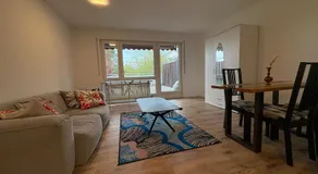 1 Single Big Room Apartment with Big Terrace, Kitchen, Sauna - Image 5