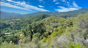 Quaint Cabin with private Trails & Creek - Image 4