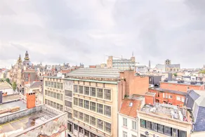 Aspen Lodge for 1BR/10P in the Center of Antwerp - Image 3