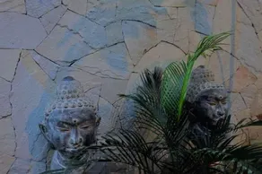 Omah Kebon Nitiprayan - Image 2