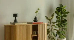 The Offset - Image 3