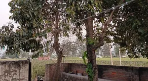 Padda Farm house - Image 5