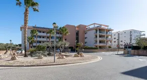 Oliveres - Image 2