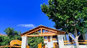 Orange Garden - Image 5