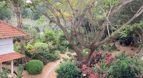 Gaia's Garden Guest House - Image 4