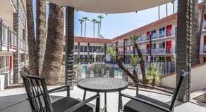 Tempe Oasis - Image 3