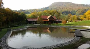 Country house with a pool in Medvednica Nature Park - Image 4