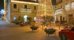 EL LLIMONER - Image 4