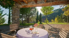 Cortijo Prado Toro - Image 4