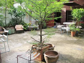Bluefin Guesthouse - Image 5