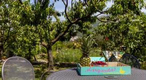 Happy Garden Home - Image 4