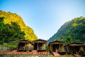 Jungle Gadera By Xtreeme - Image 5