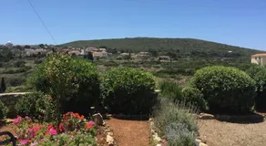 Villa Lemonia - Guest House - Image 3