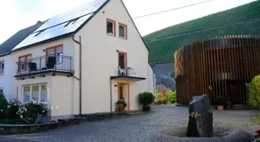 Ferienwohnungen Weingut und Vinothek Regnery - Image 3