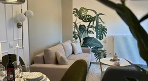 Mila apartman Banja Koviljaca - Image 4