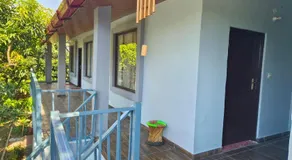 The TreePie Corbett - Image 5