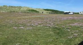 Løkken Strand Camping (Empty Lot) - Image 5