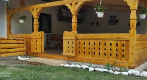 La Lenuța În Susani - Image 5