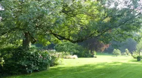 LE JARDIN DU ROSSIGNOL - Image 5