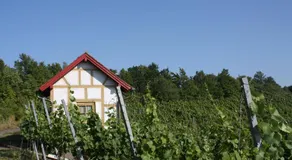 Schwarzer Adler - Ferienwohnung Storchennest - Image 5