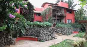 Concha Tropical Flat - Image 4