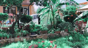 Hotel Nino - Image 4