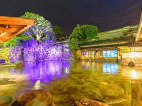 Tamatsukuri Onsen Yunosuke No Yado Chorakuen - Image 4