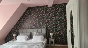 Schöne 2-Raumwohnung Neu - Image 2