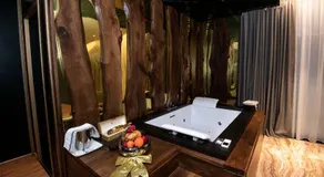 Ajman Park & Resorts - Image 3