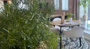 B&B De Terpen - Image 5