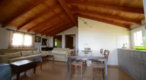 Lena Studios - Image 3