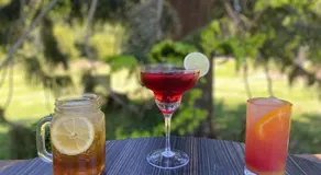 Bunya Mountains Tavern - Image 4
