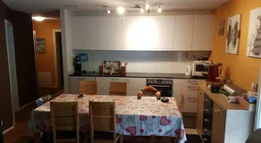 Realp-Andermatt 3,5 locali giardino privato In mezzo la natura, spettacolare per appassionati montanbike, pesca ecc In inverno fai sci di fondo dal giardino e con il treno davanti a casa si raggiunge in 5min il comprensorio scistico di Andermatt - Image 3