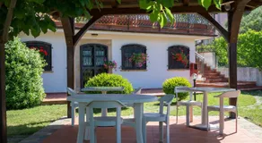 B&B Hibiscus - Image 2