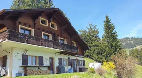 Chalet le Grenier des Crosets, Vue exceptionnelle sur les Dents du Midi - Image 5