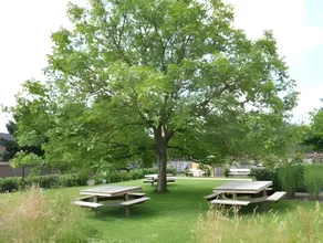 De Pastorie - Image 5